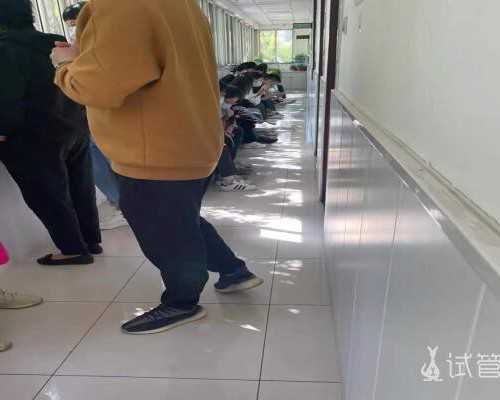 孕妇梦见黄蜂吉凶预测(胎梦黄蜂*男*女解读) 供卵代怀助孕公司